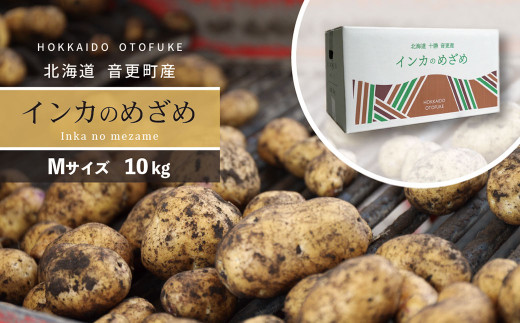 先行受付］おとふけ産じゃがいも「インカのめざめ」10kg（Mサイズ