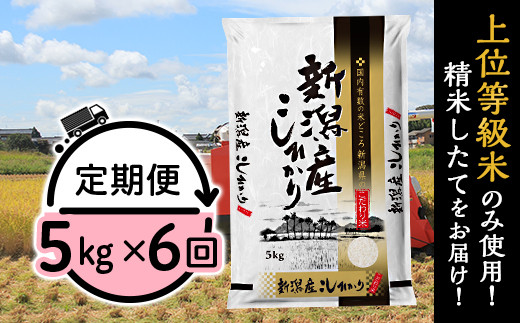 ふるさと納税 津南町 2024年4月発送開始『定期便』農家直送毎月5kg全3回 ふるさと納税 津南町 2024年4月発送開始『定期便』農家直送毎月10kg