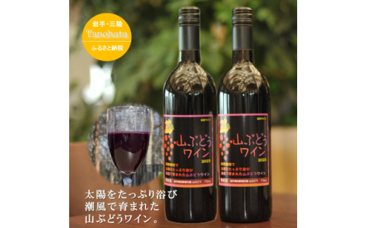 山ぶどうワイン 甘口 750ML 2本【1582759】 - 岩手県田野畑村