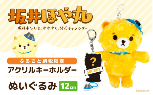 sd1_b9095bd2e8a45cd81a900d7f8f