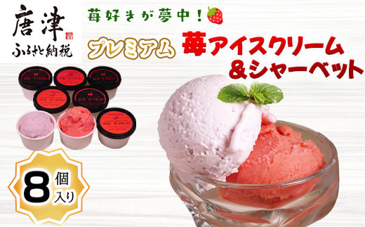 yꌧÎszws\xyߘa8N5菇z䕍DIv~A䕃ACXN[V[xbg e4(v8jXC[c Jbv fU[g Xَq  C`S