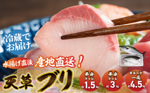 ブリフィレ半身 ぶり まるごと一尾 選べる内容量（約1.5kg～4.5kg