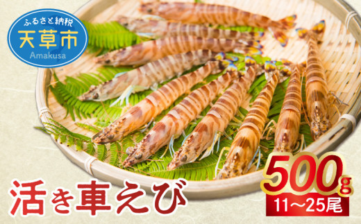 yF{VszyNxQzIEK̊Ԃ(500g)qs\rS_S005-001