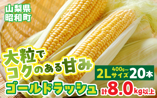 yRazy2026Ns\zRYS[hbV2LTCY×20{Zbg SWBS003