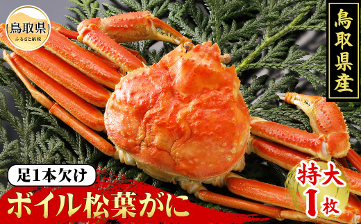 y挧zE24-015 挧Y@䥂őtɁyԌz 挧  {C t YCKj