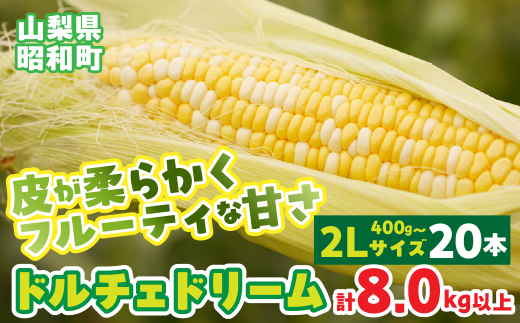 yRazy2026Ns\zRYh`Fh[2LTCY×20{Zbg SWBS006