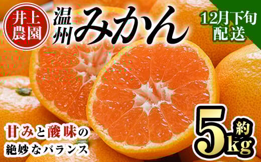 y啪Fszs\tI12{菇\聄ʌ 啪FsY B݂(5kg)݂ ~J  k t[c ʕ  ʎ Yy103610600zy_