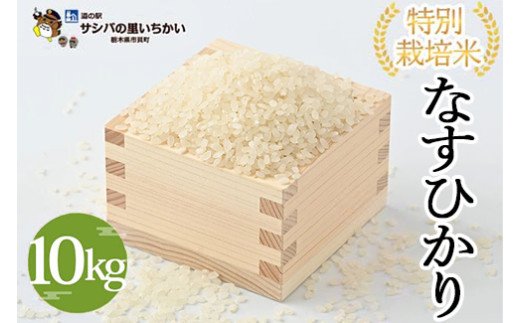 yȖ،sLzsLY ʍ͔|āqȂЂr10kg b Y Ȗ،Y  ʍ͔|   Ȗؕ Ƃ ւ̔zs 2025N9{菇\