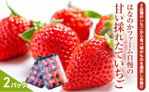 y򕌌szy\̔z̊Â̂ꂽĂ2pbN@ ʕ t[c fU[g H  x 荂 Yn @2026N2{`4{ɏ\@