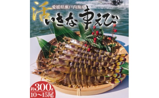 yQ㓇zQ˓CY@ȎԂ 300g(10`15)y1445481z