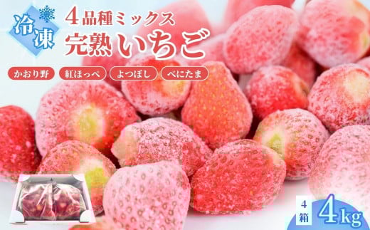 yʌvsz Ⓚ4kg |  Ⓚ s\ C`S  Xgx[ x[ Hה ʕ  t[c    Â fU[g H XC[c Mtg