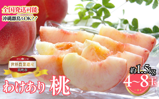 yRJszy2026Ns\zRJsY@킯蓍@1.5kg@4ʁ`8 223-011-26y