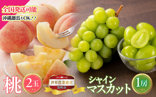 yRJszy2026Ns\zRJsY@2ʁEVC}XJbg1[̃Zbg@1kg 223-014-26y