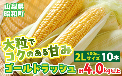 yRazy2026Ns\zRYS[hbV2LTCY×10{Zbg SWBS002