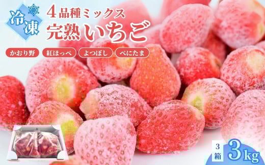 yʌvsz Ⓚ 3kg |  Ⓚ s\ C`S  Xgx[ x[ Hה ʕ  t[c    Â fU[g H XC[c Mt