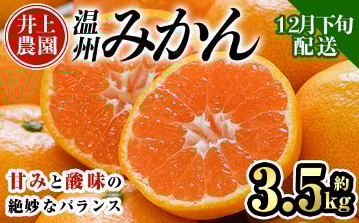 y啪Fszs\tI12{菇\聄ʌ 啪FsY B݂(3.5kg)݂ ~J  k t[c ʕ  ʎ Yy103670600zy_