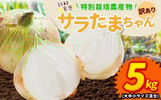 yF{Óޖؒzys\z󂠂 T܂ Vʂ˂ 5kg s2026N4{~5oׁtF{ kS Óޖؒ  ܂˂ GRt@[}[ 咆TCY Yi T