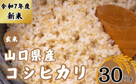 令和6年度産】【先行予約】【定期便】恋の予感 10kg（5kg×2袋） 隔月×3回（合計30kg）【無洗米】【宇米】※偶数月(2025年2月, 4月,  6月)にお届け 【米 お米 精米 国産米 山口県産米 宇部米 宇米 無洗米 ご飯 コメ ごはん ふっくら 恋の予感 定期便】 - 山口県宇部市 ...