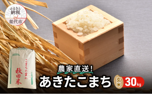 先行予約・令和8年産】新米 秋田県産あきたこまち 玄米 30kg もっちり 