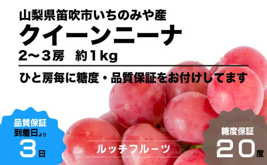 全房糖度20度保証付】クイーンニーナ 約1kg  2～3房【2025年発送】＜希少品種＞ルッチスタッフいち推し！人気急上昇中！【数量限定】旬の美味しいフルーツだけをお届けします【ルッチ  Rucci】産地直送 山梨県 笛吹市 果物 葡萄 ぶどう 赤ブドウ 赤系 贈答 贈り物 化粧箱 ...