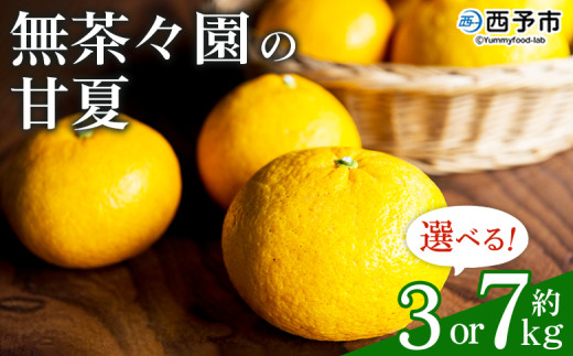 無茶々園の甘夏 約3kg／7kg 果物 くだもの あまなつ みかん ミカン