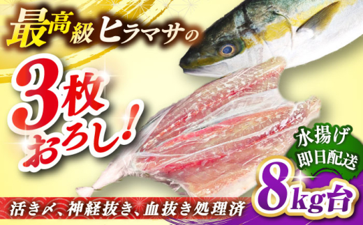 ふるさと納税 長崎県 壱岐市 ヒラマサフィレ 約1〜1.5kg（半身）《壱岐市》[JDT040] ヒラマサ フィレ 柵 刺身 刺身ブロック 刺し… ふるさと納税 長崎県 壱岐市 ヒラマサフィレ 約1〜1.5kg（半身）《壱岐