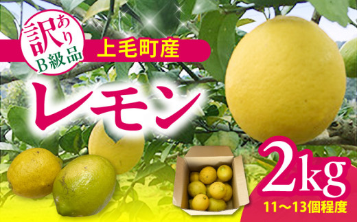 yђzђY 󂠂Bi 2kg K06306