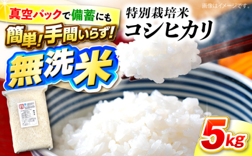 令和４年秋田県仙北産　あきたこまち　農家直送　玄米２４kg 先行予約》 玄米 あきたこまち 令和7年産 単一原料米