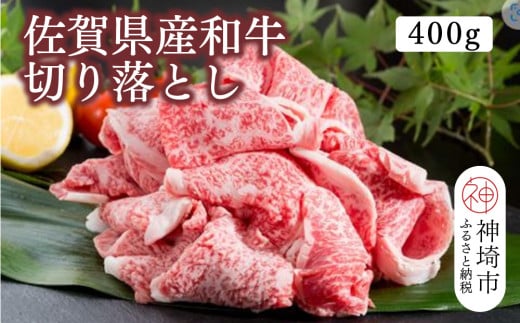 yꌧ_szꌧYa؂藎Ƃ 400gyјa  ؂藎Ƃz(H116106)