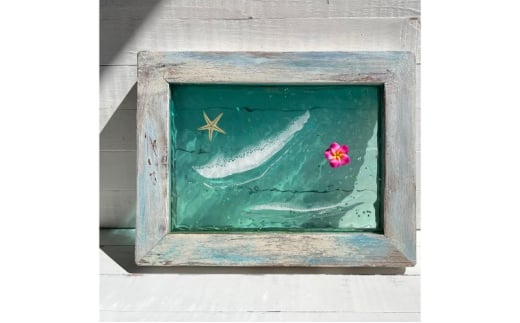 y_ސ쌧qszyf/1iGtԂ̂ĵ炬zCeA qs }TLt~R[5875-0816]