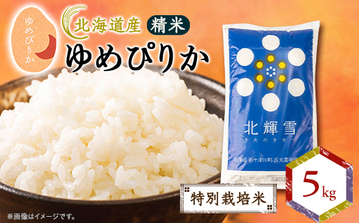 ykCΗzkCY߂҂肩 5kg qʍ͔|ār āy1548559z