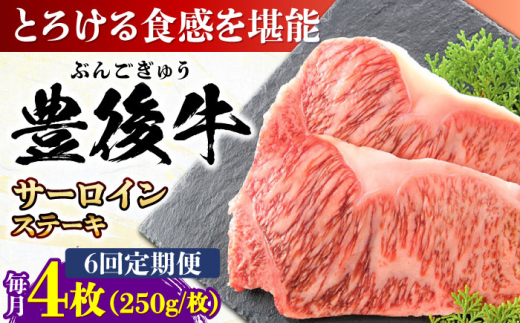 y啪cszyS6ցzL㋍ T[CXe[L 1kg (250g×4) cs / MEAT PLUS  L㋍  L㋍ јa T[C T[CXe[L