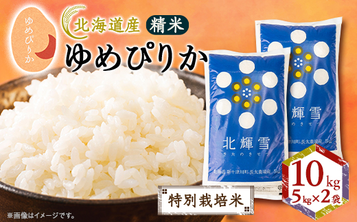 ykCΗzkCY߂҂肩 10kg(5kg×2) qʍ͔|ār āy1548567z