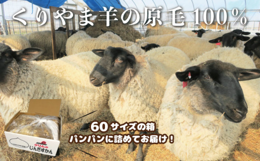 sd1_8d52187c8665ceb3b0e0c52d10