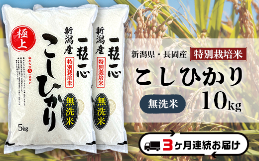 長野県産　新米10kg nozawan320_moti-10