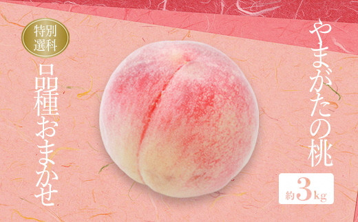 yR`szy2026Nzx14xȏۏ؁IuGivR`Y ii킨܂j3kg_H207(R8)