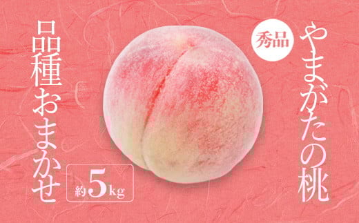 yR`szy2026NzuGivR`Y ii킨܂j5kg_H206(R8)