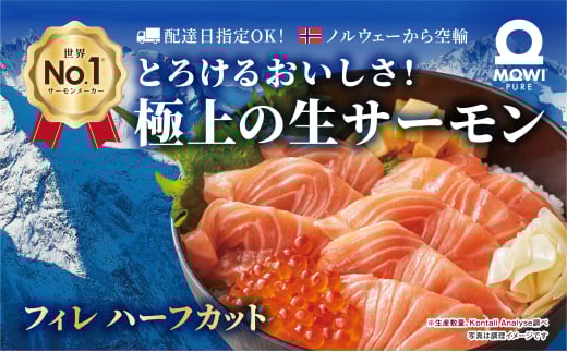 ytcsz[5904-0621]ECsAET[n[tJbg@450gȏ@1@T[ hg hgT[ mEF[Y ① VN ⓀȂ T[  CN cs t