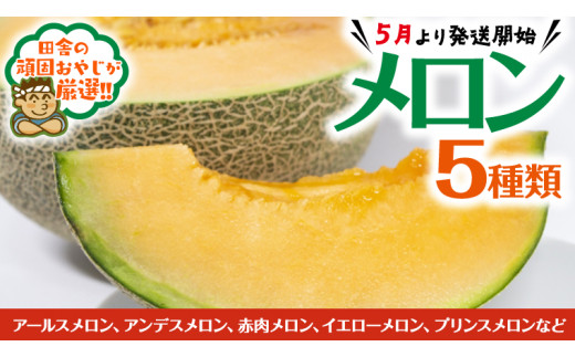 y錧΂݂炢sz 5 ؃Zbgy5Jnzcɂ̊ł₶II