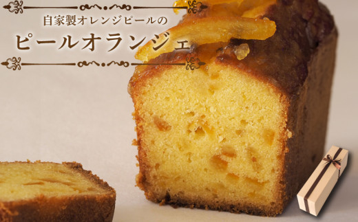 ygszs[IWF XC[c pEhP[L ĉَq َq  fU[g  p v[g Mtg a LO   gs CAKE EXPRESS