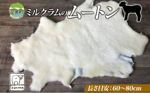 ミルクラム 石田めん羊牧場 ムートン 存在感 天然素材 ボア 繊細 手触り 艶やか 光沢 高級感 インテリア ベビー用 介護用品 ペット用 温かい  涼しい 夏用 冬用 生後2か月未満 仔羊 仔羊のムートン 北海道 足寄町 - 北海道足寄町｜ふるさとチョイス - ふるさと納税サイト