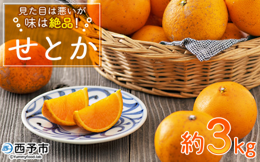 見た目は悪いが味は絶品 無茶々園のせとか 約3kg＞果物 みかん ミカン