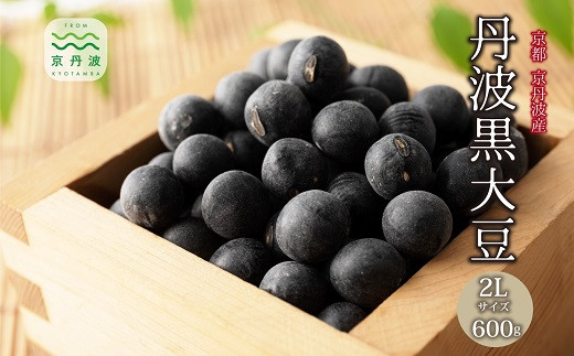 丹波黒大豆 2Lサイズ 600g （300g×2袋） 京丹波町産 京都 丹波 黒大豆