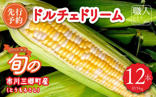 甘々娘（とうもろこし）5kg箱 山梨県産：2024年6月上旬から発送 塩島農園[5839-1221] - 山梨県市川三郷町｜ふるさとチョイス -  ふるさと納税サイト