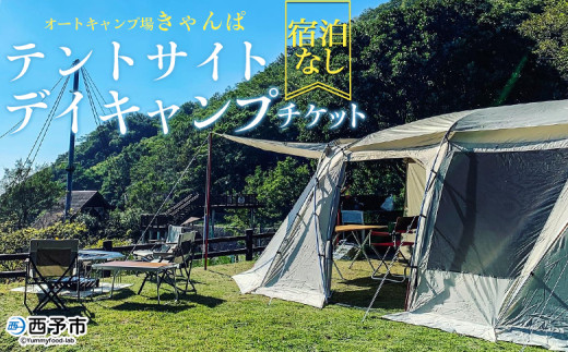 車用テント 160サイズ 車中泊 アウトドア キャンプ防災用デイキャンプブラック 車用テント 160サイズ 車中泊 アウトドア キャンプ防災用デイ