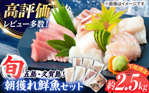 下処理済!真空パックでお届け】五島産 高級 朝獲れ 鮮魚 ( 下 下処理済!真空パックでお届け】五島産 高級 朝獲れ 鮮魚 ( 下