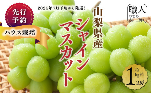 露地栽培シャインマスカット甲府産10キロ