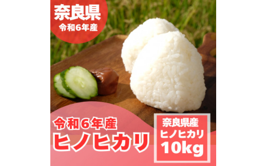 ふるさと納税 大和高田市 奈良県産ヒノヒカリ10kg 毎月定期便奈良県産 ヒノヒカリ(精米) 10kg(5kg×2)×全6回 | 奈良県