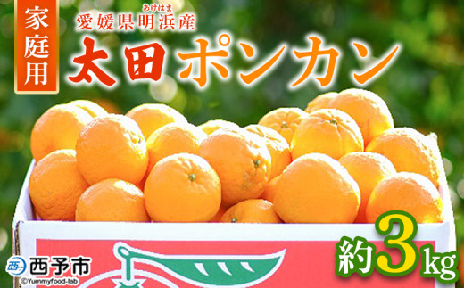 yQ\szc|J ƒp 3kg ʕ  t[c ݂ ~J k cۂ񂩂 ۂ񂩂 II^|J ۂ񂩂 󂠂 p Yi ЏΊ