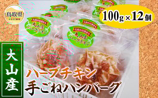 y挧zA24-008 RYn[u`L育˃no[O